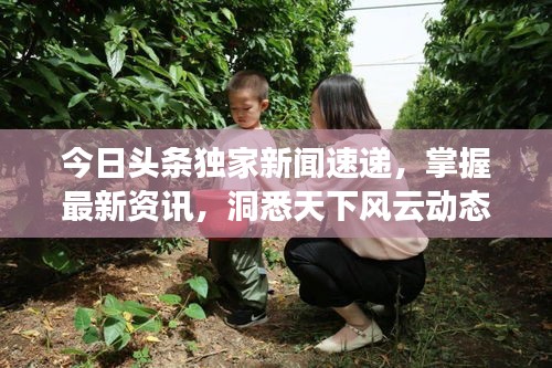 今日头条独家新闻速递，掌握最新资讯，洞悉天下风云动态