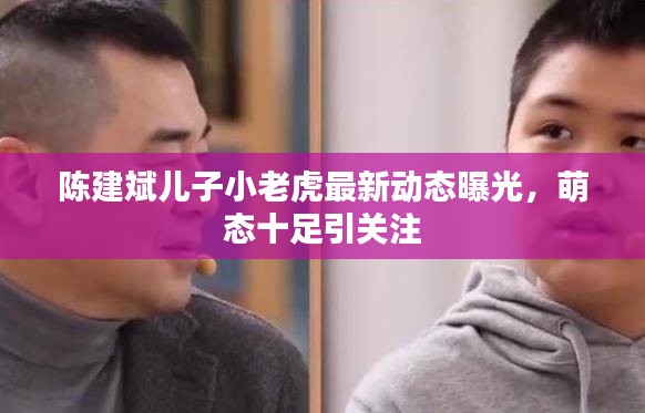 陈建斌儿子小老虎最新动态曝光，萌态十足引关注