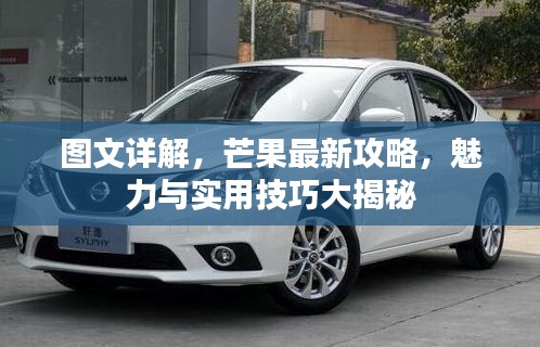 图文详解，芒果最新攻略，魅力与实用技巧大揭秘