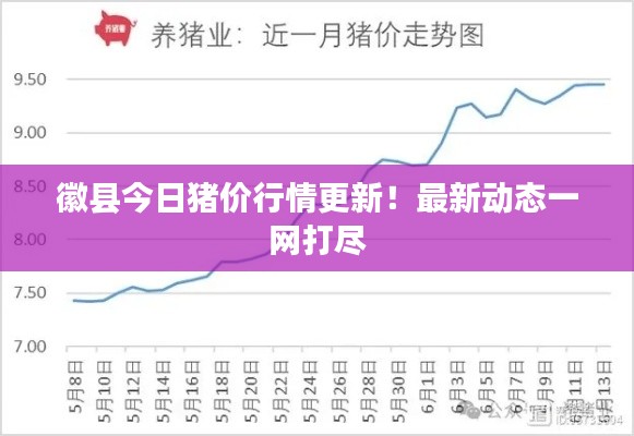 徽县今日猪价行情更新！最新动态一网打尽
