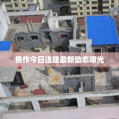 焦作今日违建最新动态曝光