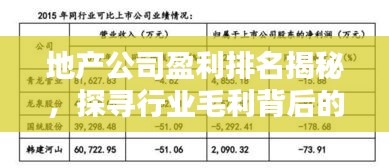 地产公司盈利排名揭秘，探寻行业毛利背后的秘密！