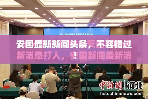 安国最新新闻头条，不容错过！