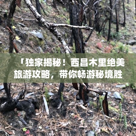 「独家揭秘！西昌木里绝美旅游攻略，带你畅游秘境胜地！」