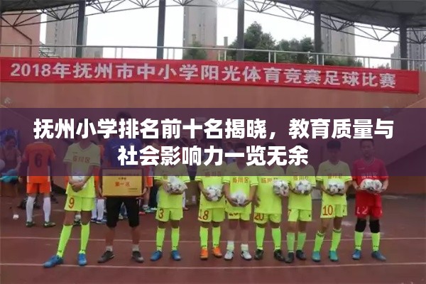 抚州小学排名前十名揭晓，教育质量与社会影响力一览无余