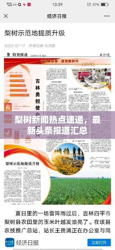 梨树新闻热点速递，最新头条报道汇总