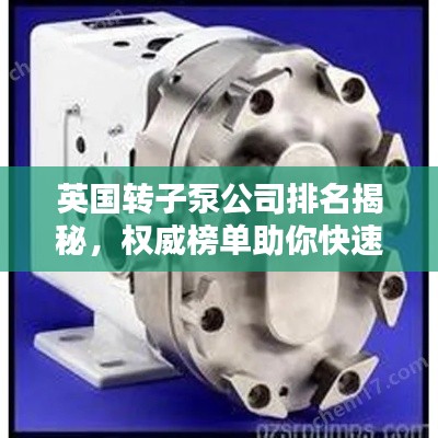 英国转子泵公司排名揭秘，权威榜单助你快速了解行业领军者