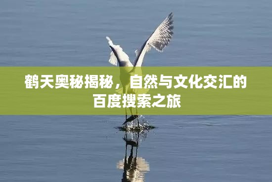 鹤天奥秘揭秘，自然与文化交汇的百度搜索之旅
