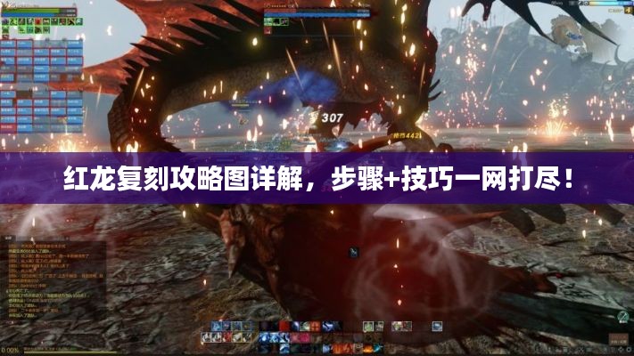 红龙复刻攻略图详解，步骤+技巧一网打尽！