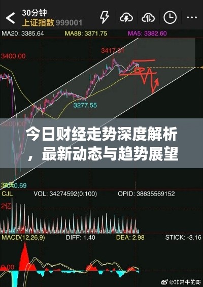 今日财经走势深度解析，最新动态与趋势展望