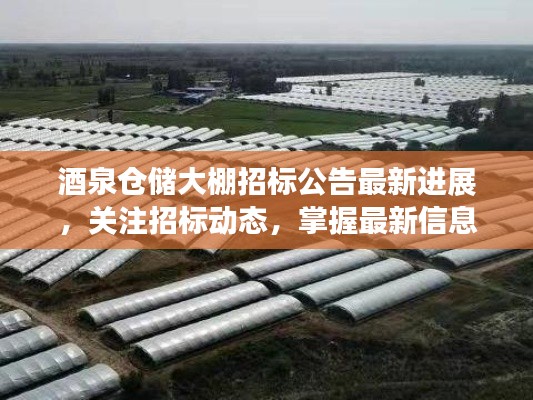 酒泉仓储大棚招标公告最新进展，关注招标动态，掌握最新信息