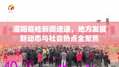 灌阳临桂新闻速递，地方发展新动态与社会热点全聚焦
