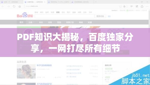 PDF知识大揭秘，百度独家分享，一网打尽所有细节