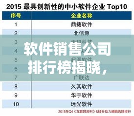 软件销售公司排行榜揭晓，影响力深度分析！