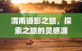 渭南摄影之旅，探索之旅的灵感源泉，绝美拍照攻略！