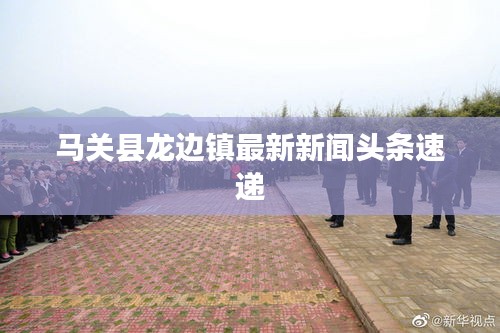 马关县龙边镇最新新闻头条速递
