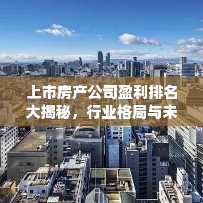 上市房产公司盈利排名大揭秘，行业格局与未来趋势展望
