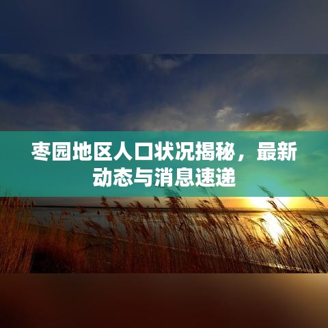 枣园地区人口状况揭秘，最新动态与消息速递