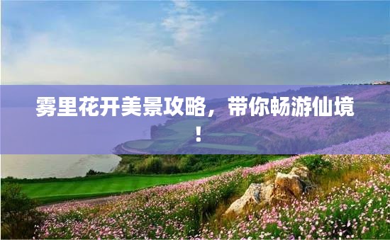 雾里花开美景攻略，带你畅游仙境！