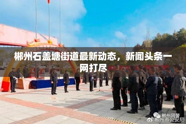 郴州石盖塘街道最新动态，新闻头条一网打尽