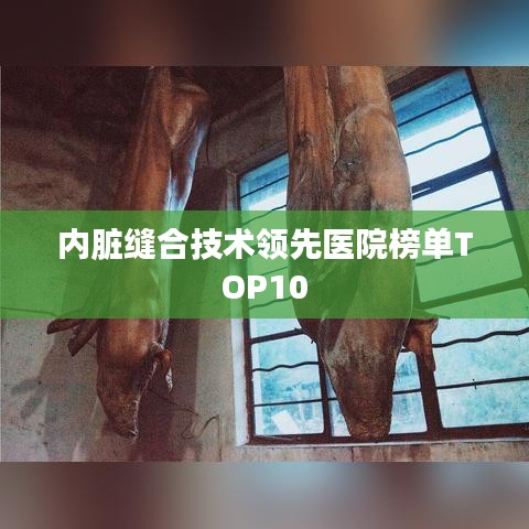 内脏缝合技术领先医院榜单TOP10