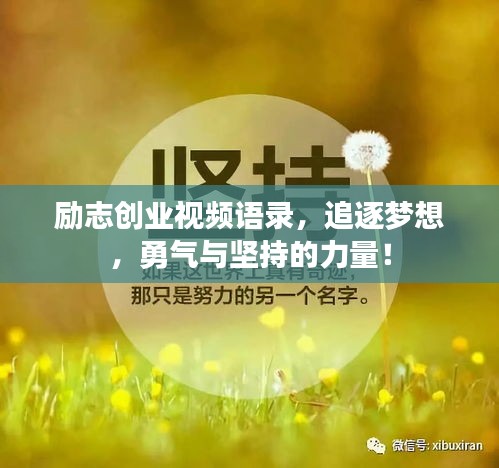 励志创业视频语录，追逐梦想，勇气与坚持的力量！