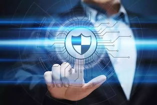 赵信版本网络安全软件，可行性方案评估入门版_v8.557的网络安全深度解析