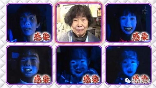 小丑版本奶奶软件被误报为病毒？DP_v3.133的真相揭秘