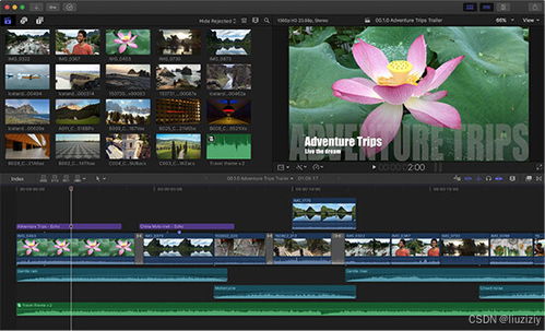 乐视视频2015旧版本,高效策略设计解析-4DM1_v5.296