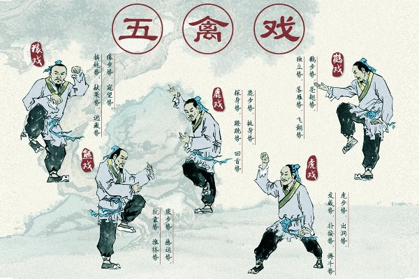 五禽戏的版本,高效实施策略设计&amp;尊享款_v10.159