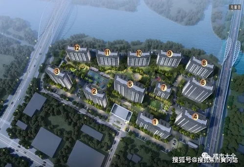 delphi最新版本,经济方案解析_交互版_v4.322