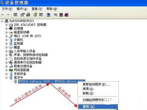 QQ7.0.1版本，数据驱动执行方案Deluxe_v5.983——轻量级软件的效率与流畅体验