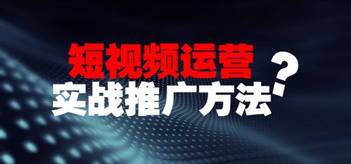 夜未央版本,创新推广策略-尊贵款_v6.953