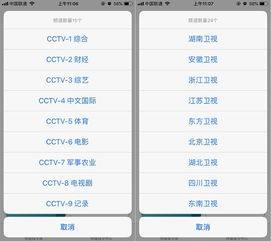 直播吧版本,高效性实施计划解析_进阶款_v2.662