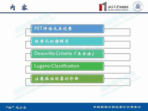 失控 版本,精细解析评估|CT_v9.841