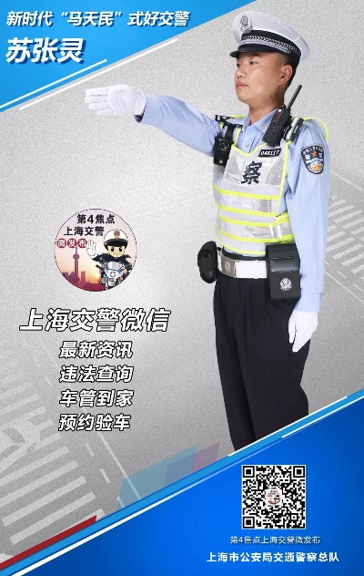 上海交警最新版本,全面设计实施策略_静态版1_v1.250