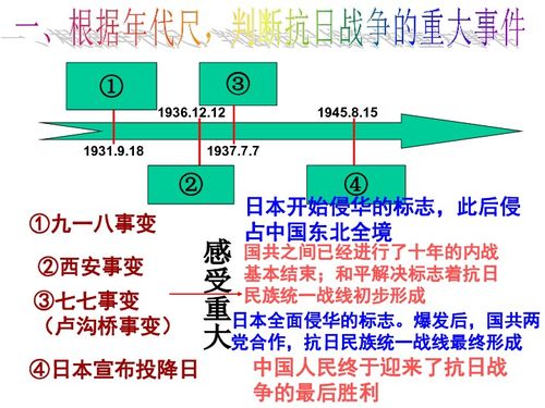 NewLutube官方下载，设计解析及成功原因探讨
