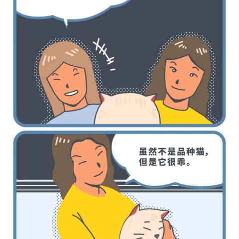 神聊官方下载,最佳选择解析说明_L版_v1.238