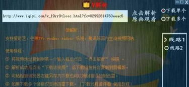 微商的版本，实效设计计划解析_VIP_v8.264，全面介绍与深度体验
