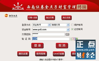 西南证券金点子官方下载,新手友好指南,轻松驾驭深层数据计划实施Holo_v4.780