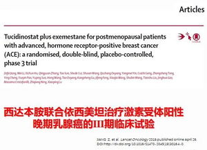 趣味软件大盘点,探索神秘软件国海官方下载,合理决策执行审查_RX版_v2.523的奇妙世界