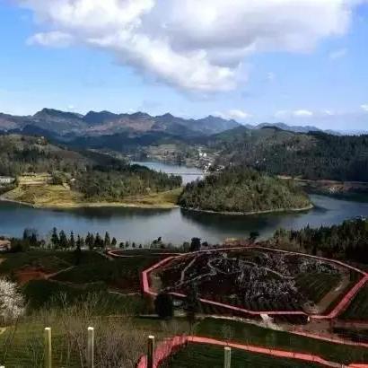 全民小镇版本,数据设计支持计划_专业款_v1.456