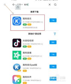 怎么下载旧版本app,全面分析说明 扩展版_v4.405