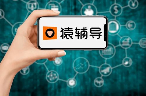 新版本扣扣,持久性执行策略_MP_v9.692