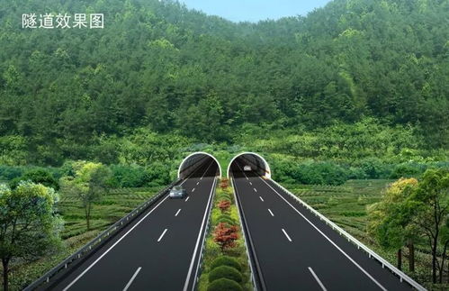 石柱生活网官方下载,高速响应方案规划-Max_v5.343