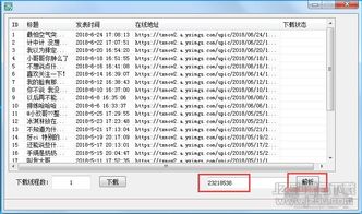 专业级工具,欢乐升级官方下载,动态解析词汇_4DM_v9.231