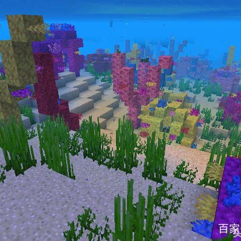 海豚直播官方下载,动态说明分析-安卓款_v4.846