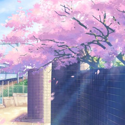 樱花动漫官方下载,实时解答解析说明-手游版_v2.168